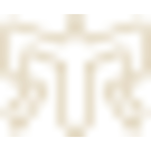 back icon 1 Thumbnail